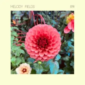 MELODY FIELDS - 1991 (LP)