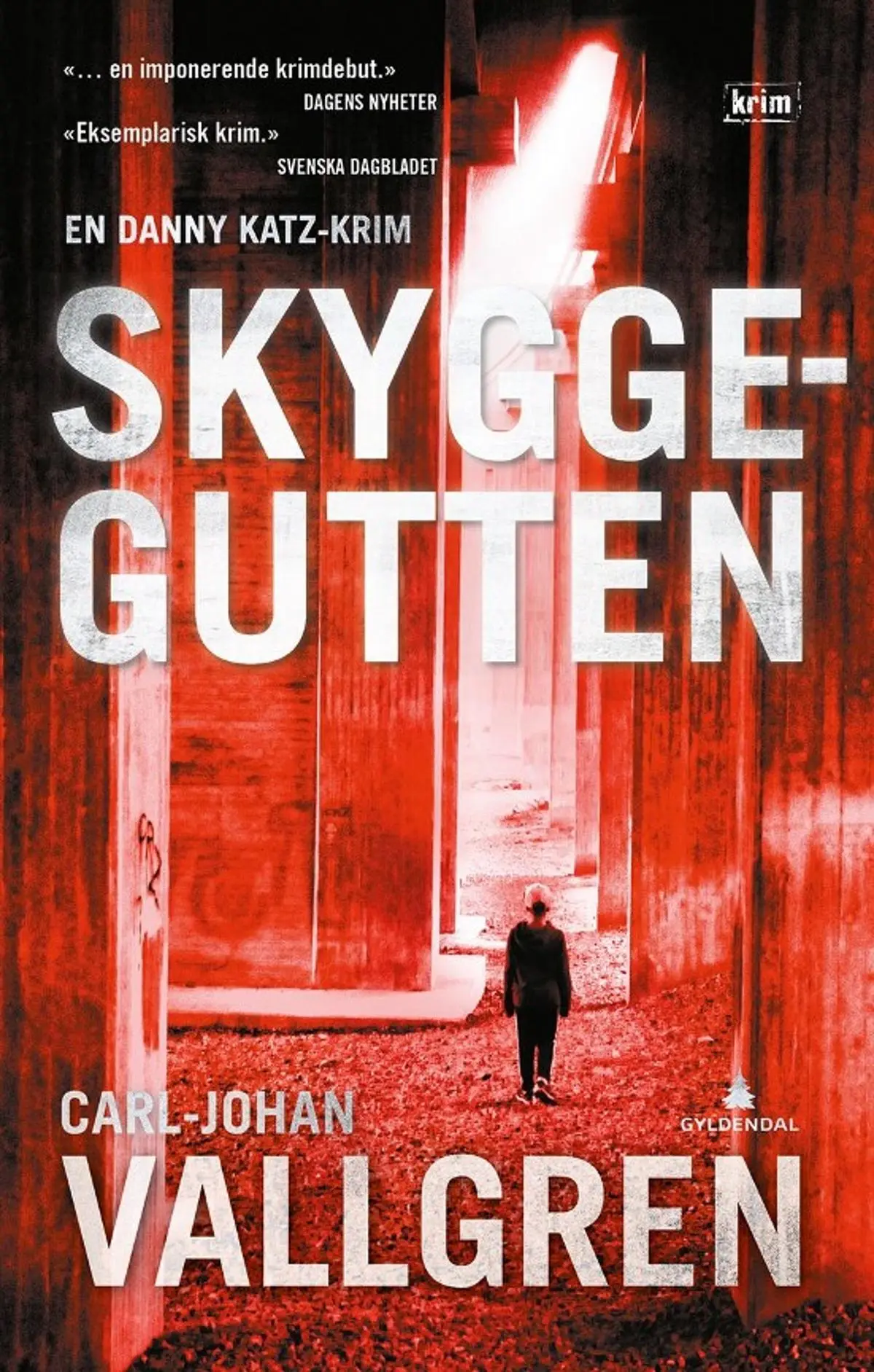 Skyggegutten: en Danny Katz-krim