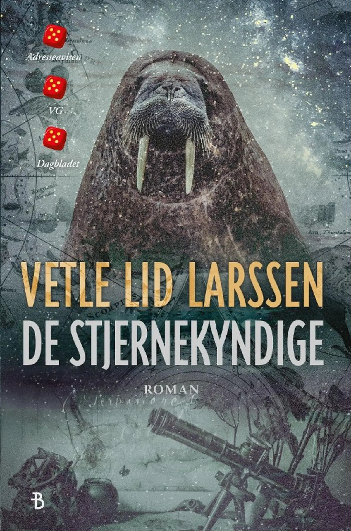 De stjernekyndige: roman