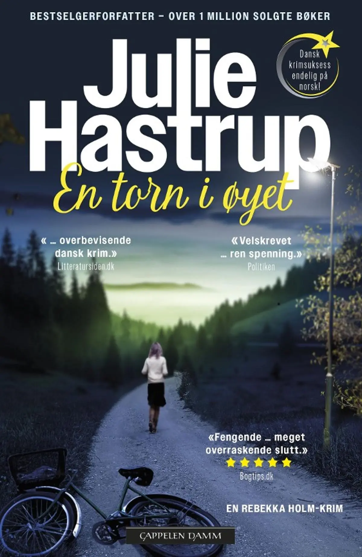 En torn i øyet: en Rebekka Holm-krim