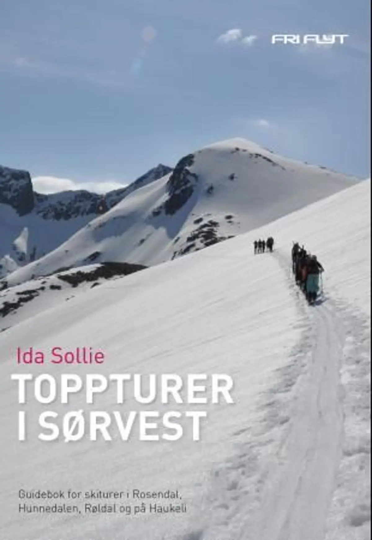 Toppturer i sørvest: guidebok for skiturer i Rosendal, Sirdal, Røldal og på Haukeli