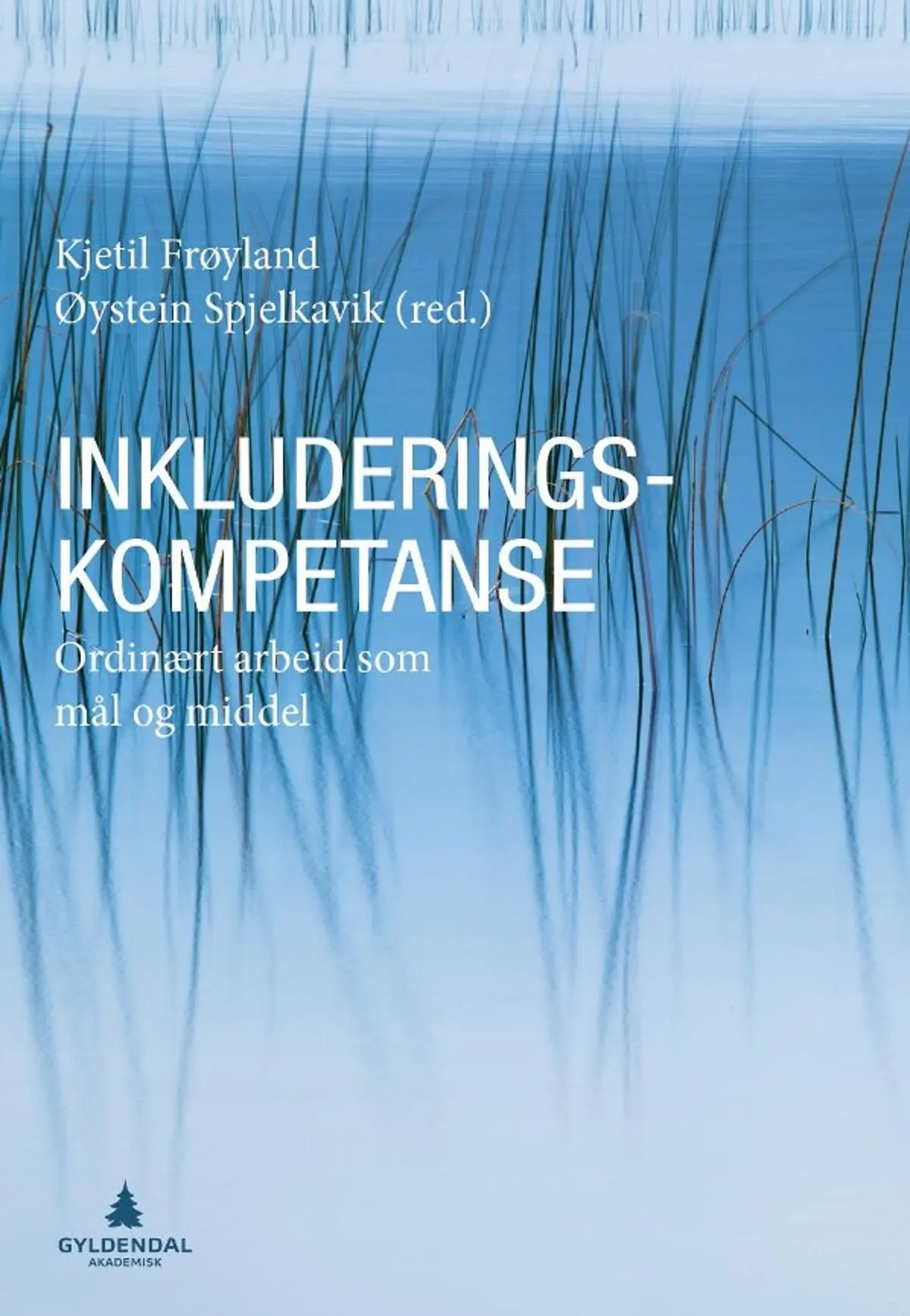 Inkluderingskompetanse: ordinært arbeid som mål og middel