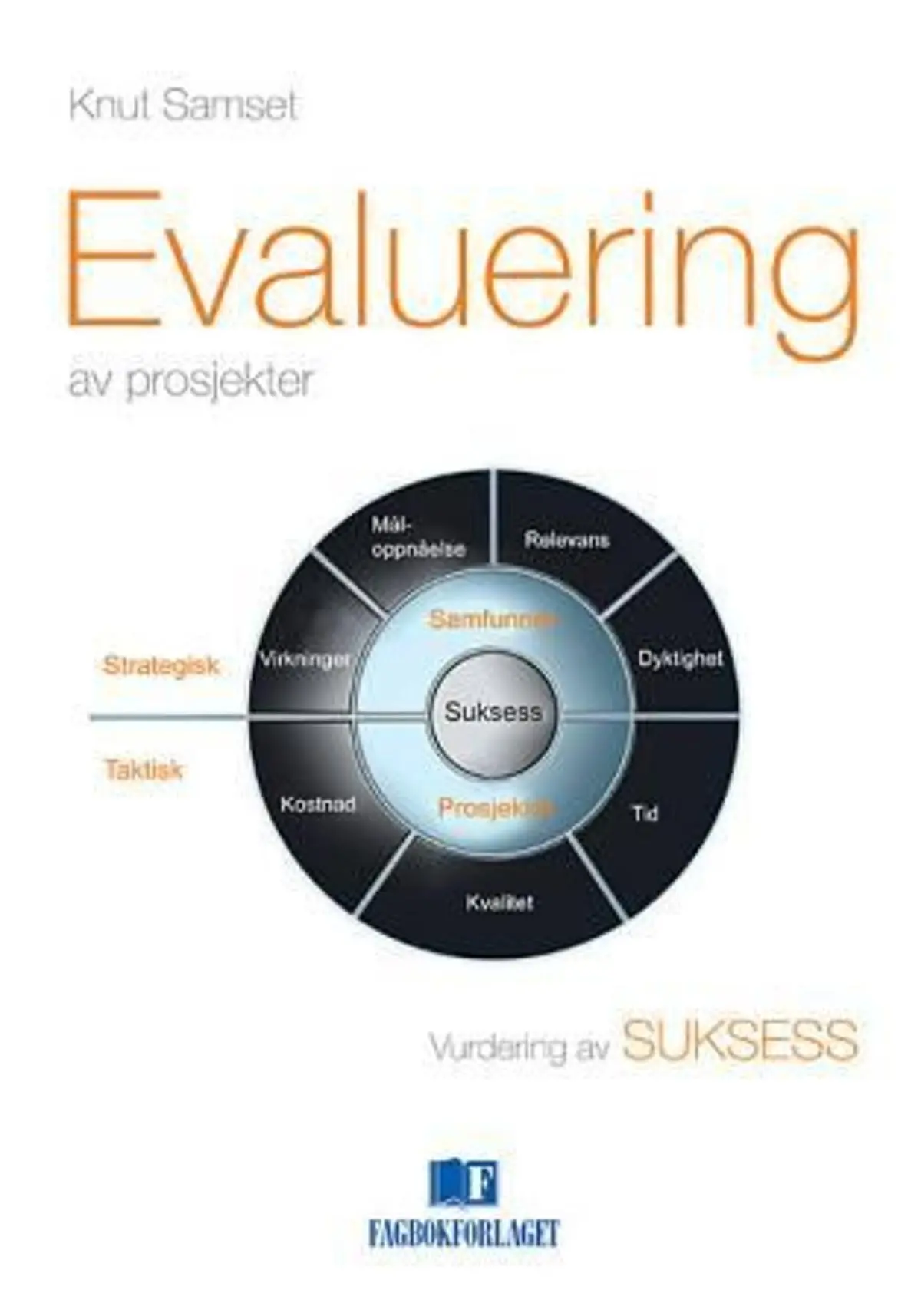 Evaluering av prosjekter: vurdering av suksess