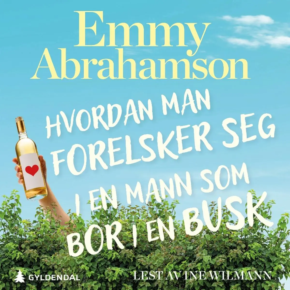 Hvordan man forelsker seg i en mann som bor i en busk: roman