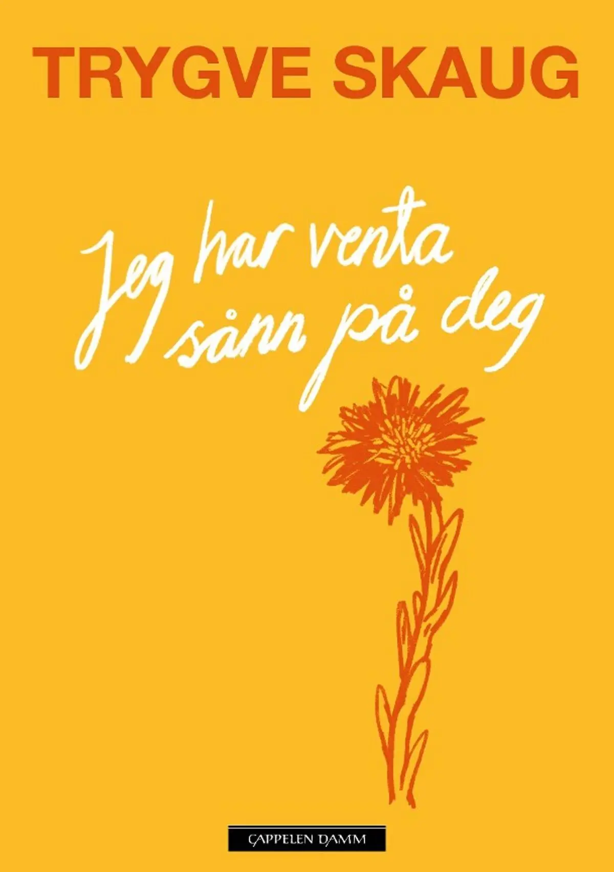 Jeg har venta sånn på deg: dikt