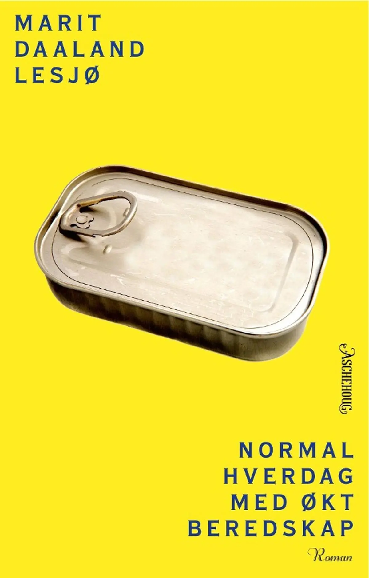 Normal hverdag med økt beredskap: roman