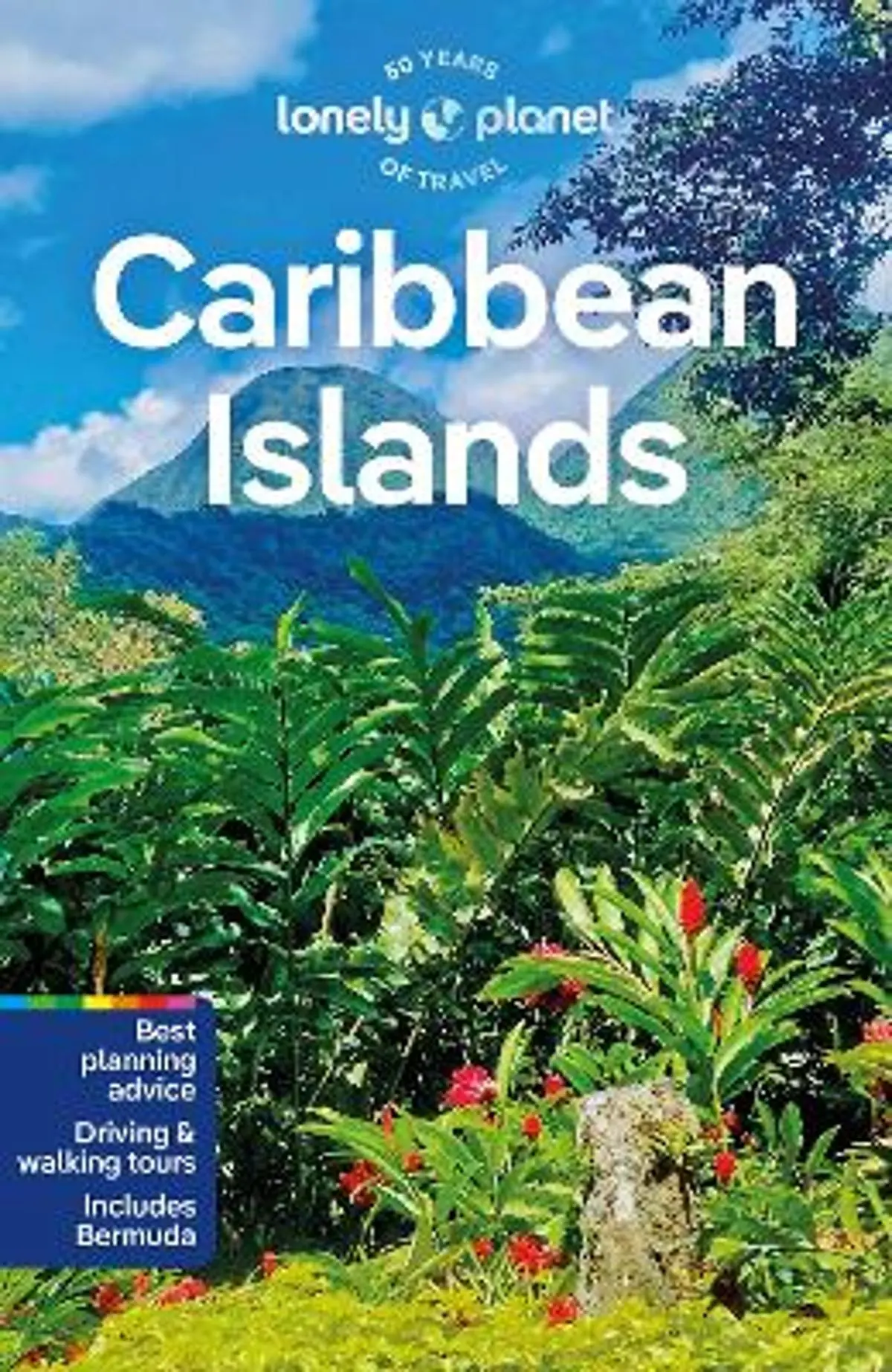 Lonely Planet Caribbean Islands: Detailed Itineraries | Travel Like a Local | Insider Tips | Covers Anguilla, Antigua & Barbuda, Aruba, Bahamas and more