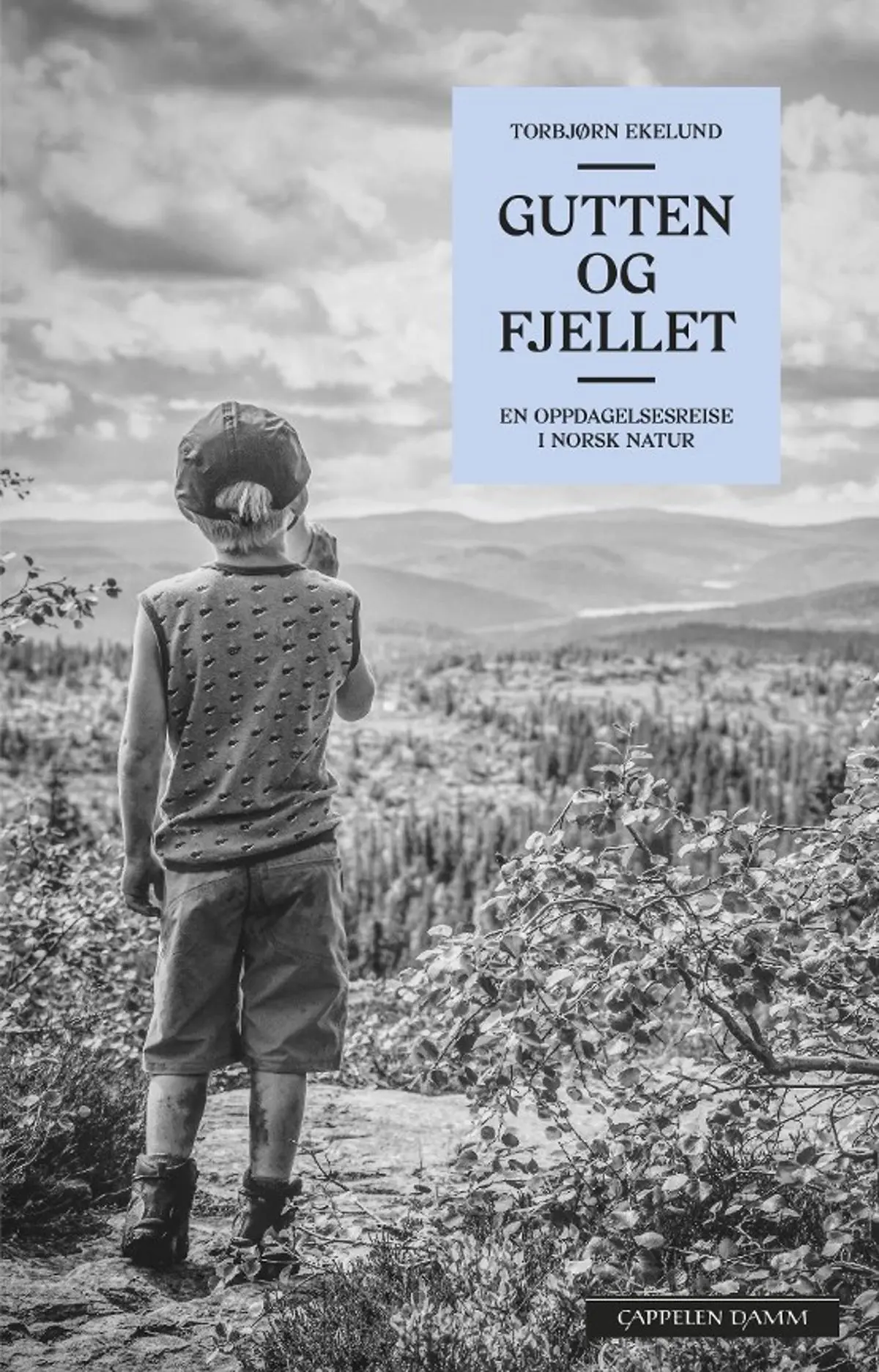 Gutten og fjellet: en oppdagelsesreise i norsk natur