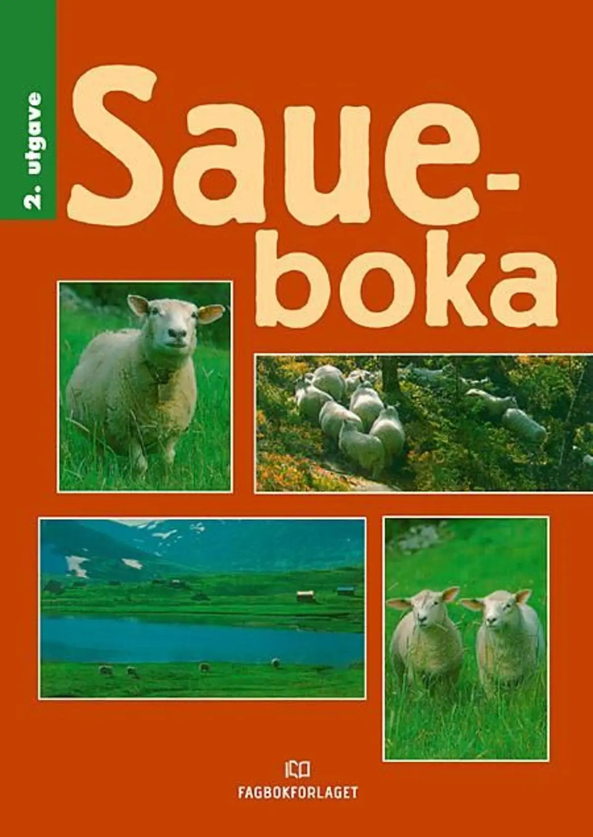 Saueboka