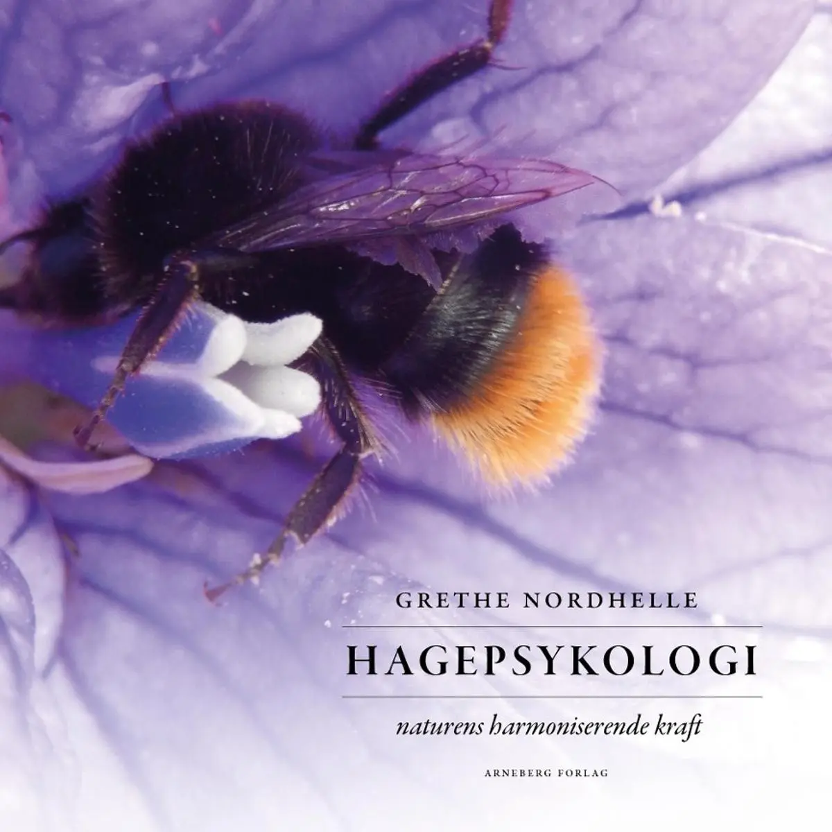 Hagepsykologi: naturens harmoniserende kraft