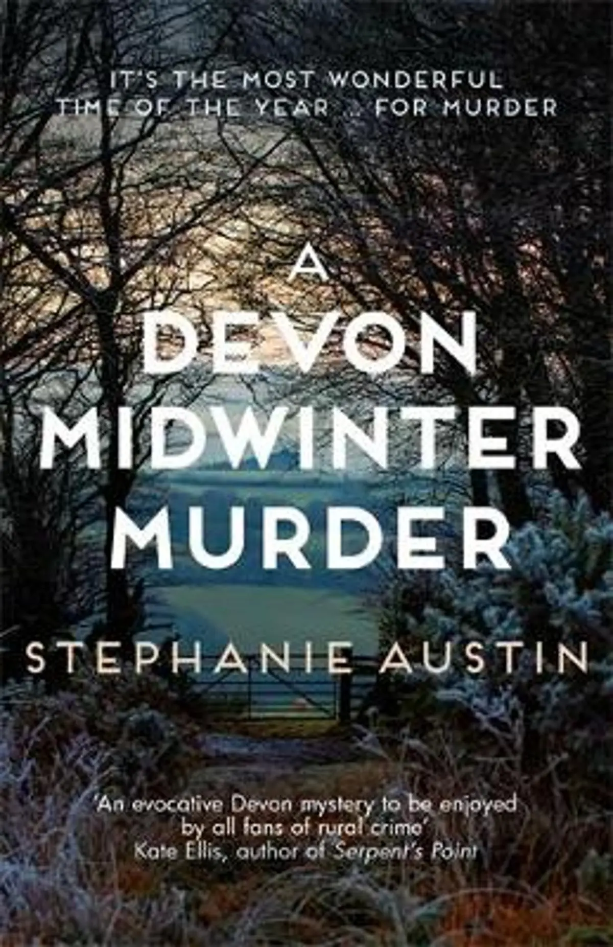 Devon Midwinter Murder: The must-read cosy crime series