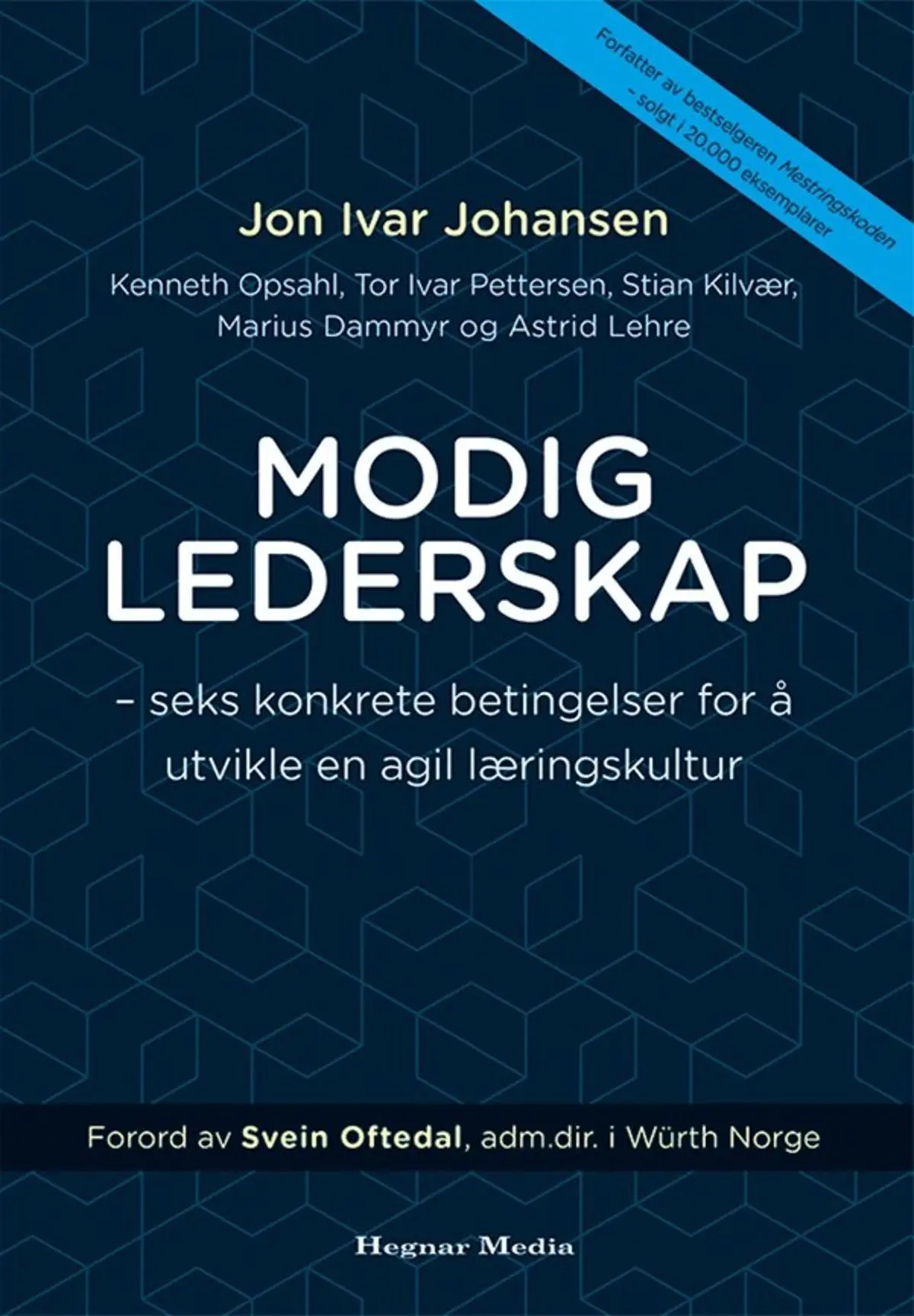 Modig lederskap: seks konkrete betingelser for å utvikle en agil læringskultur