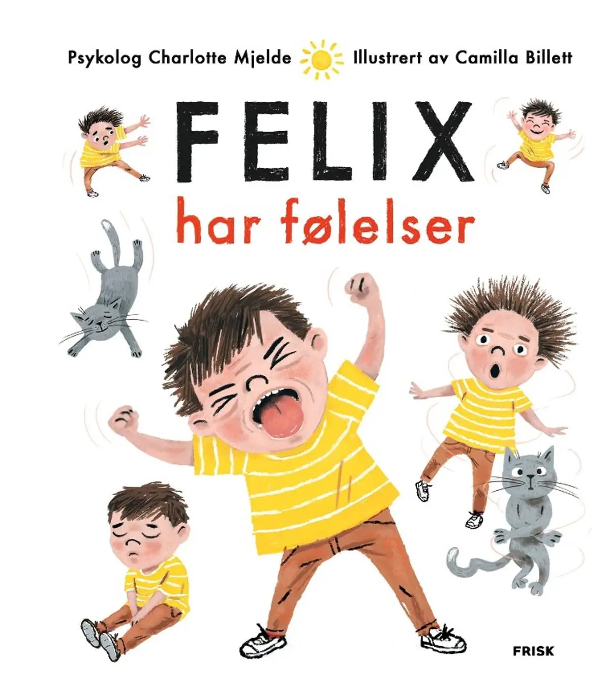 Felix har følelser – En fargerik, morsom og viktig bok