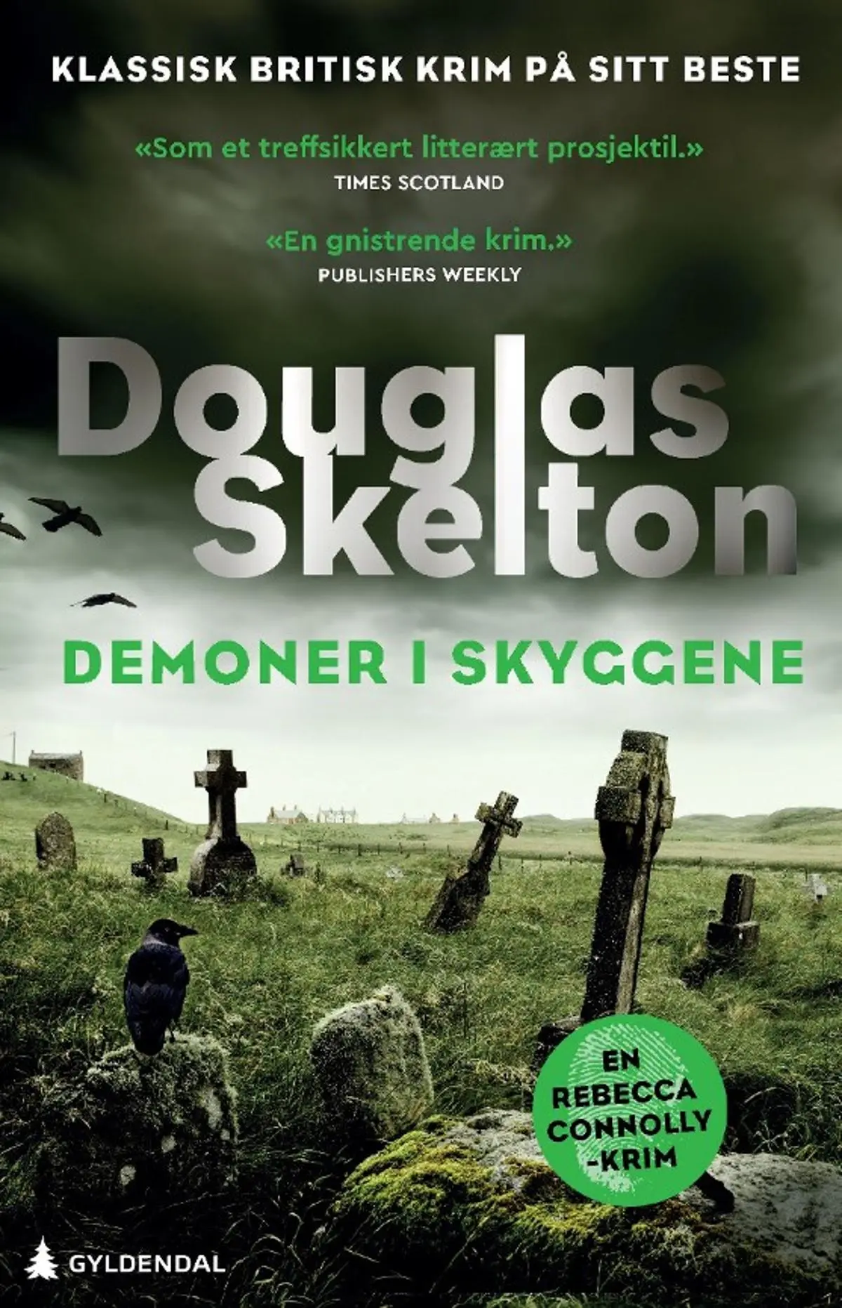 Demoner i skyggene: en Rebecca Connolly-thriller