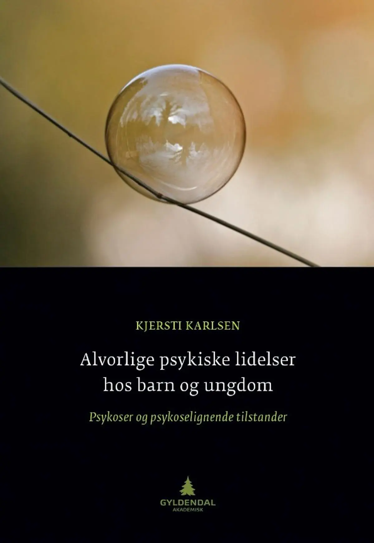 Alvorlige psykiske lidelser hos barn og ungdom: psykoser og psykoselignende tilstander