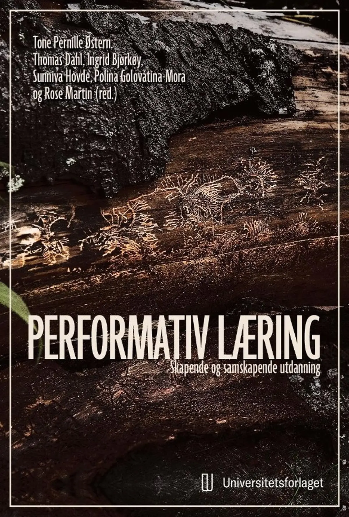 Performativ læring: skapende og samskapende utdanning