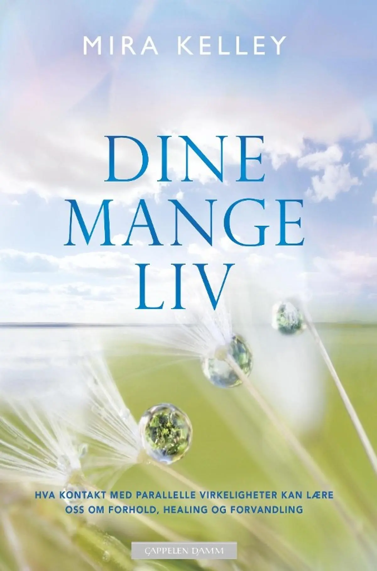 Dine mange liv: hva kontakt med parallelle virkeligheter kan lære oss om forhold, healing og forvandling
