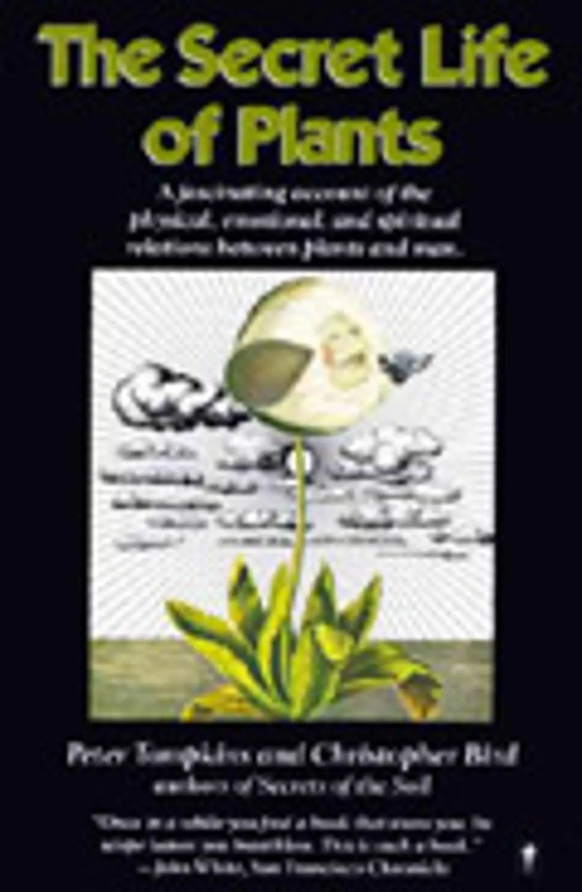 The Secret Life of Plants: A Fascinating Account of the Physical, Emotional, and Spiritual Relations Between Plants and Man