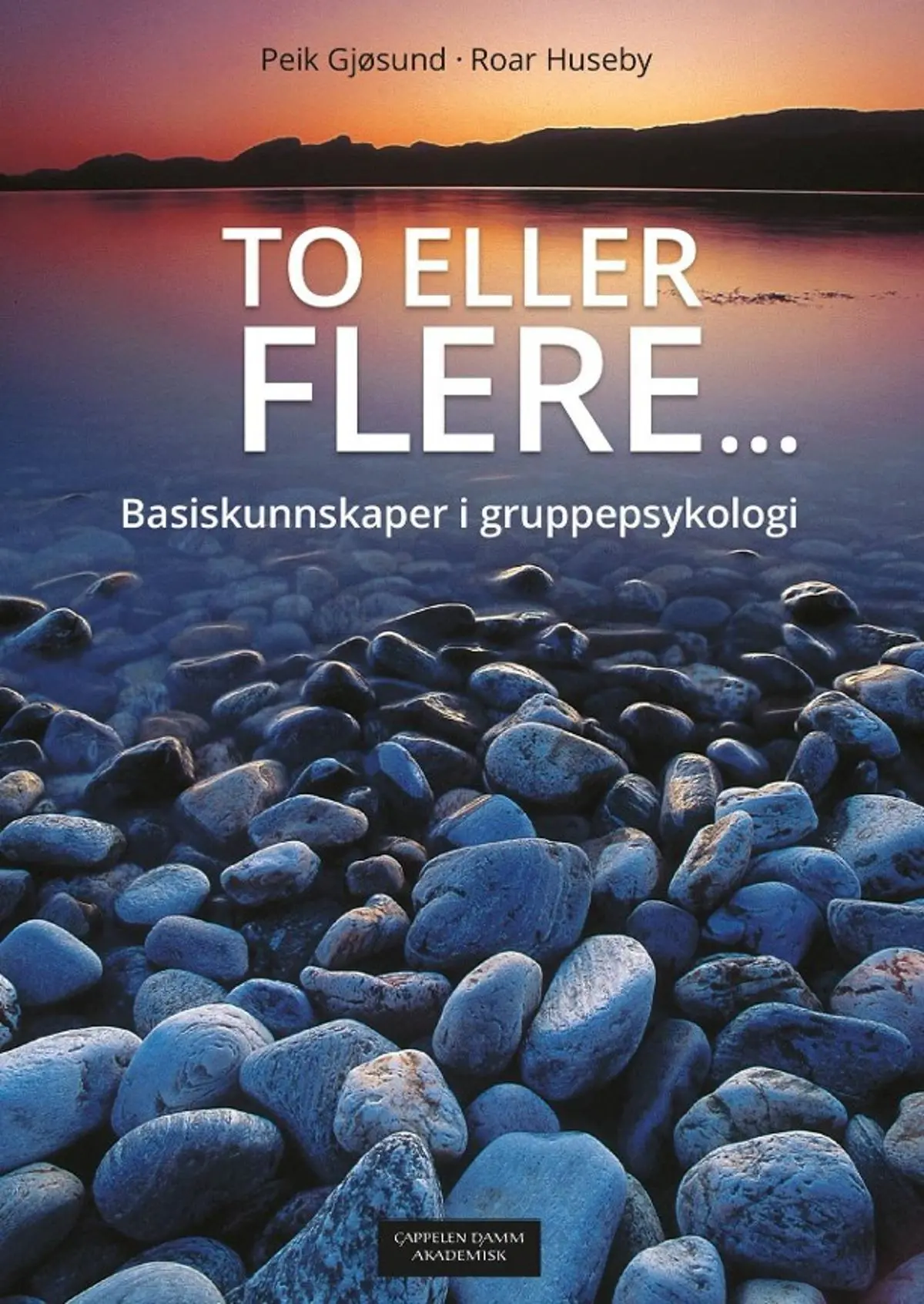 To eller flere: basiskunnskaper i gruppepsykologi