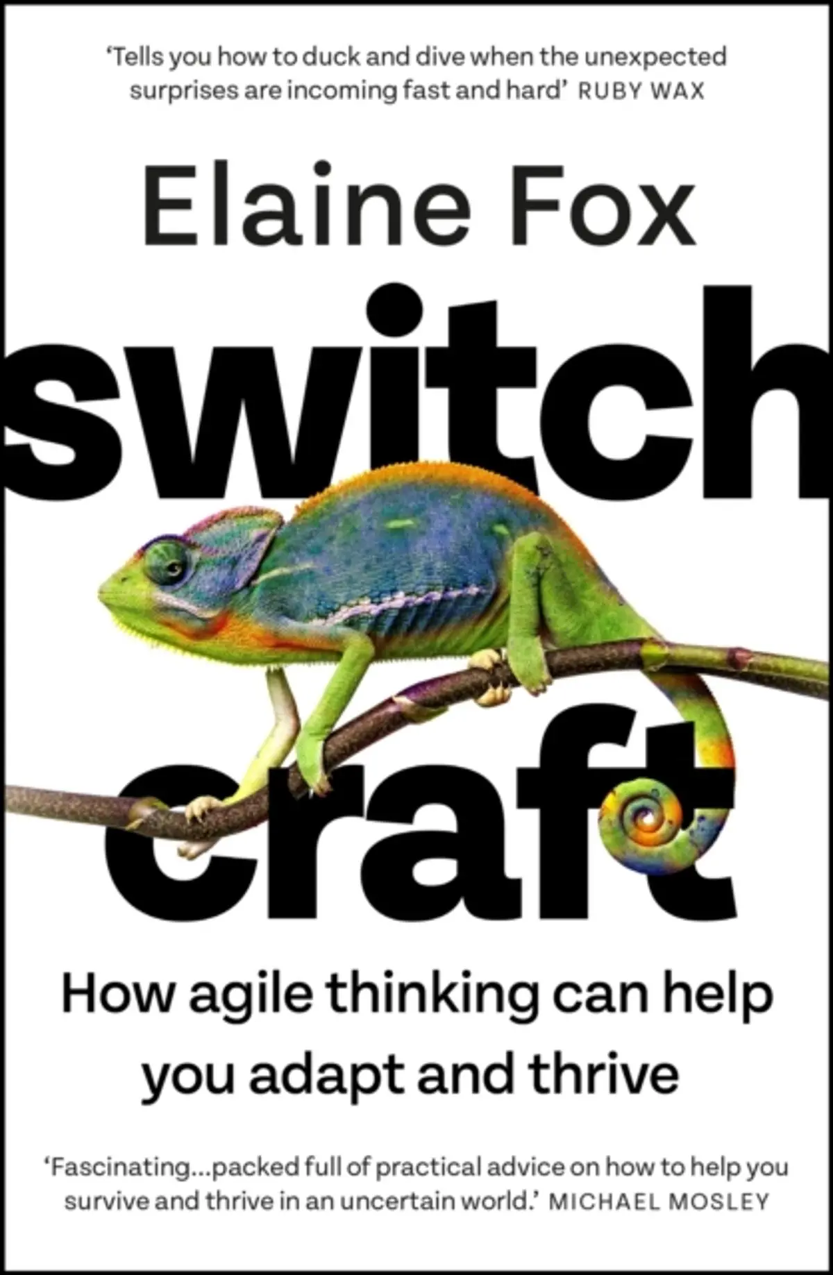 Switchcraft: Easy Techniques for Boosting Your Resilience and Mental Agility. 'Fascinating' - MICHAEL MOSLEY