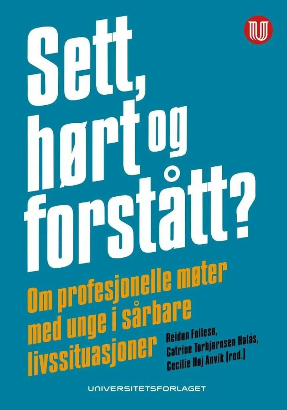 Sett, hørt og forstått?: om profesjonelle møter med unge i sårbare livssituasjoner