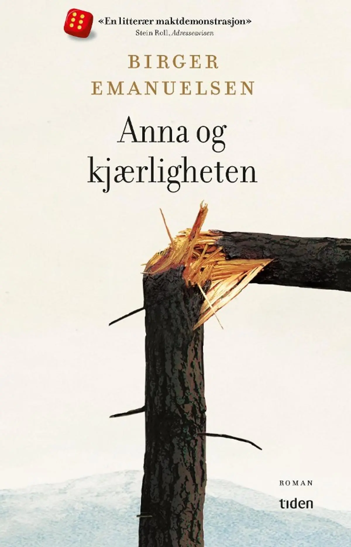 Anna og kjærligheten: roman