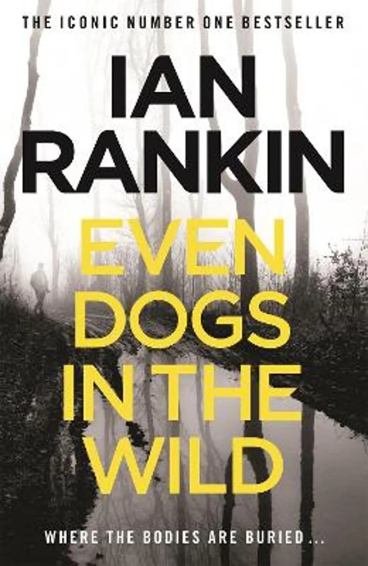 Even Dogs in the Wild: The number one bestselling series that inspired BBC One’s REBUS