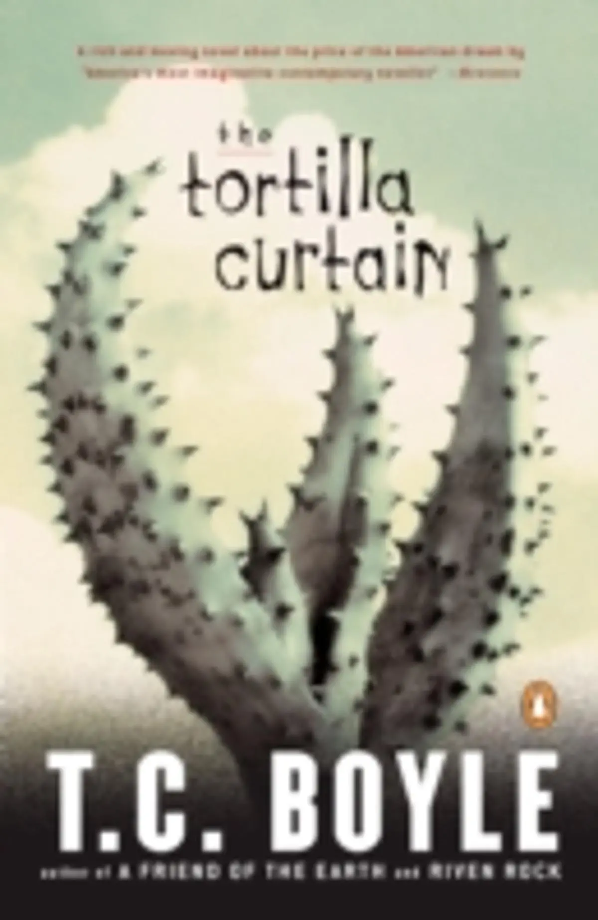 Tortilla Curtain