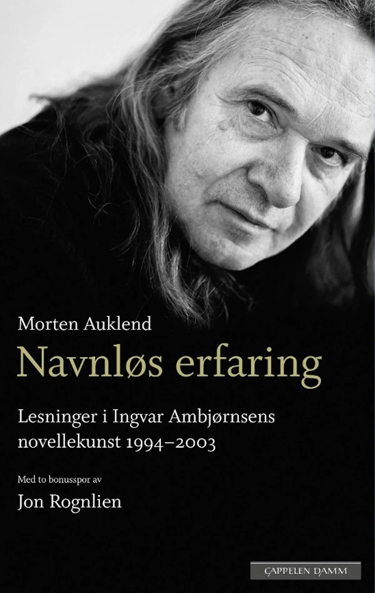 Navnløs erfaring: lesninger i Ingvar Ambjørnsens novellekunst 1994-2003 : med to bonusspor om forfatterskapet av Jon Rognlien