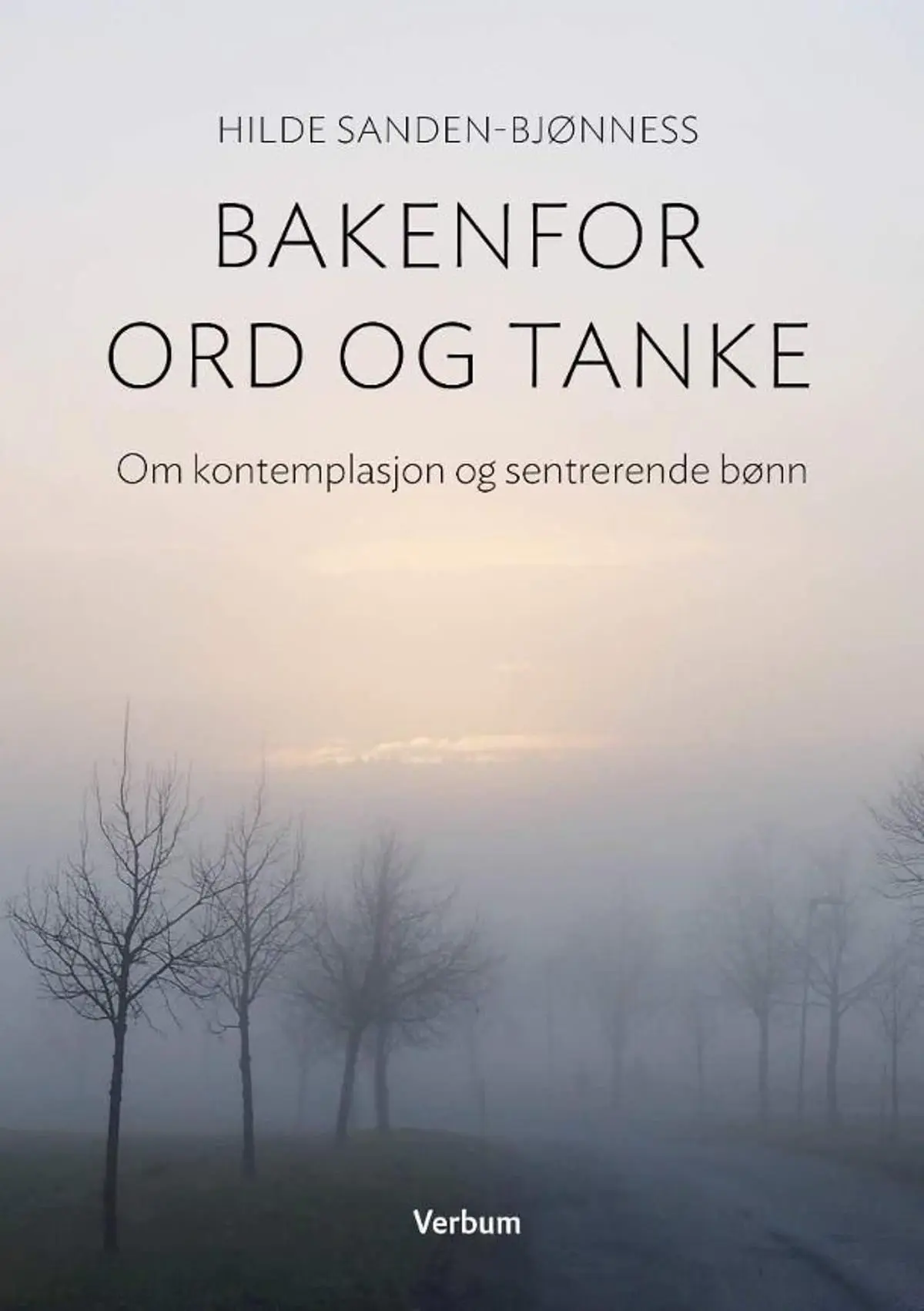 Bakenfor ord og tanke: om kontemplasjon og sentrerende bønn