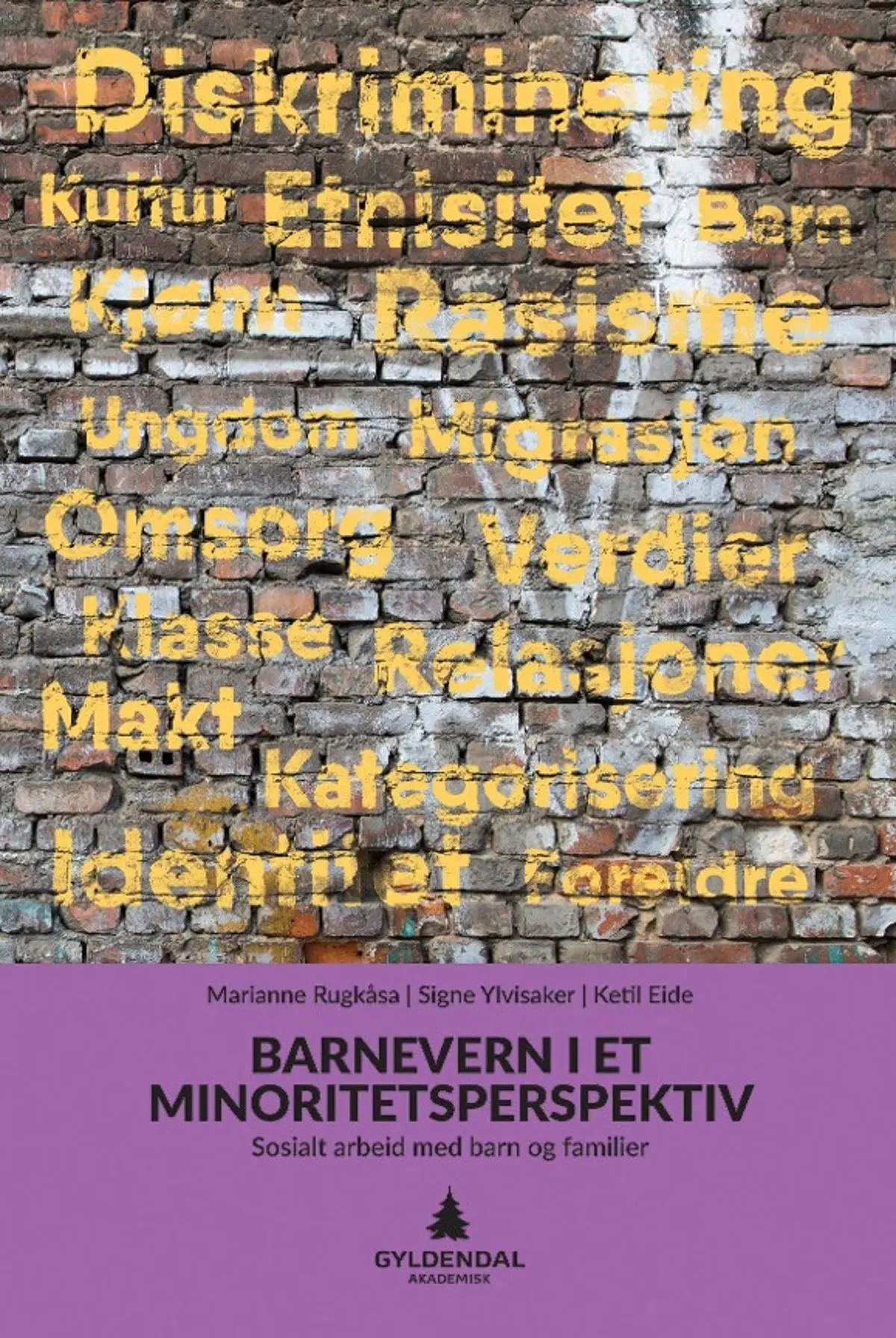 Barnevern i et minoritetsperspektiv: sosialt arbeid med barn og familier