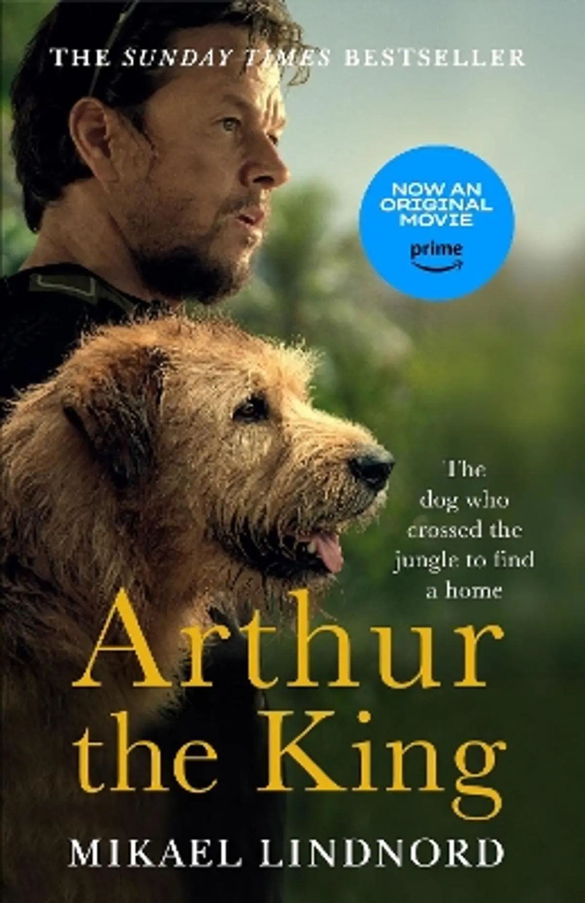Arthur the King: The dog who crossed the jungle to find a home *WATCH NOW ON AMAZON PRIME*