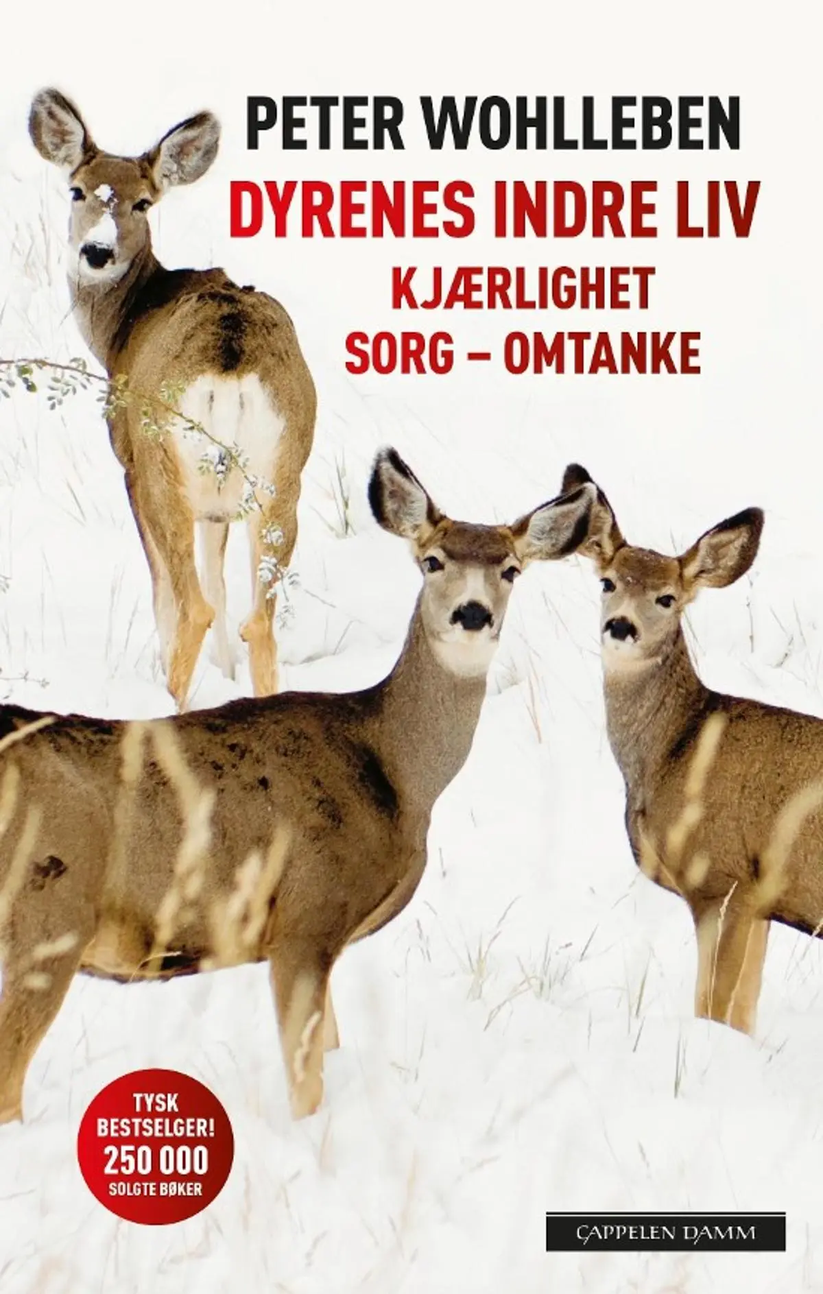Dyrenes indre liv: kjærlighet, sorg, omtanke