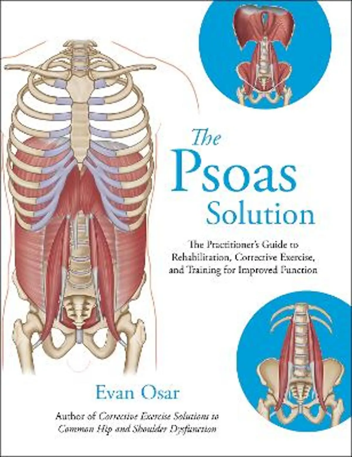 Psoas Solution: The Practitioner's Guide to Rehabilitation, Corrective Exercise, and Training for Improved Function