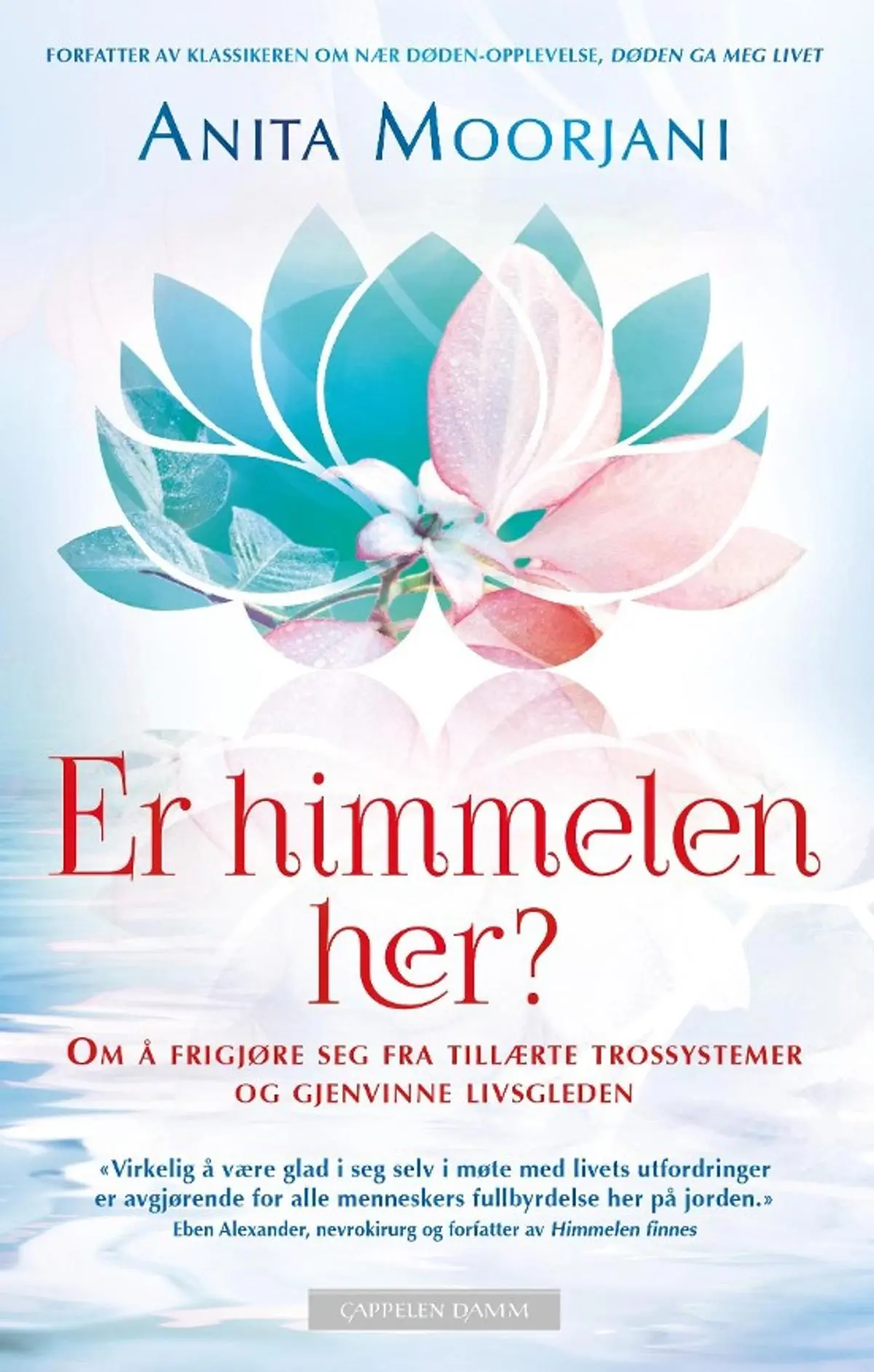 Er himmelen her?: om å frigjøre seg fra tillærte trossystemer og gjenvinne livsgleden