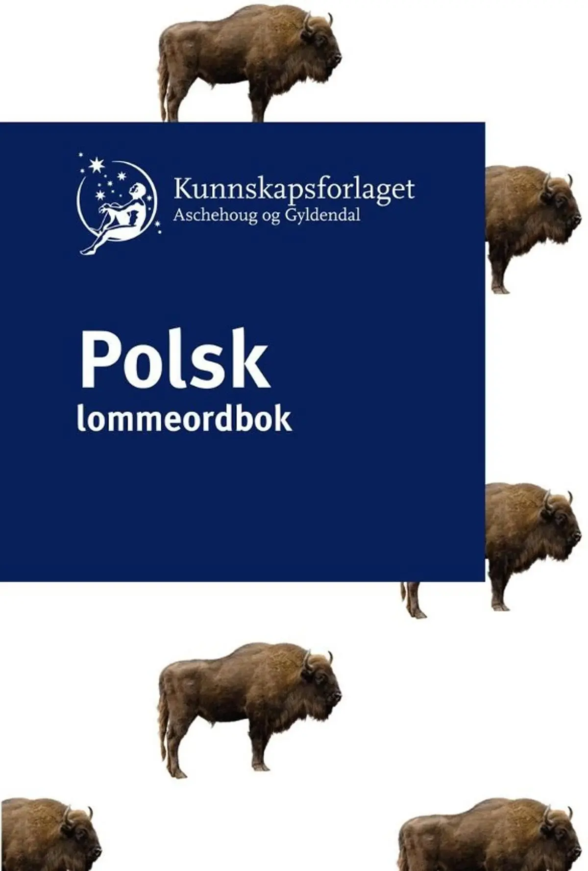 Polsk lommeordbok: polsko-norweski, norwesko-polski