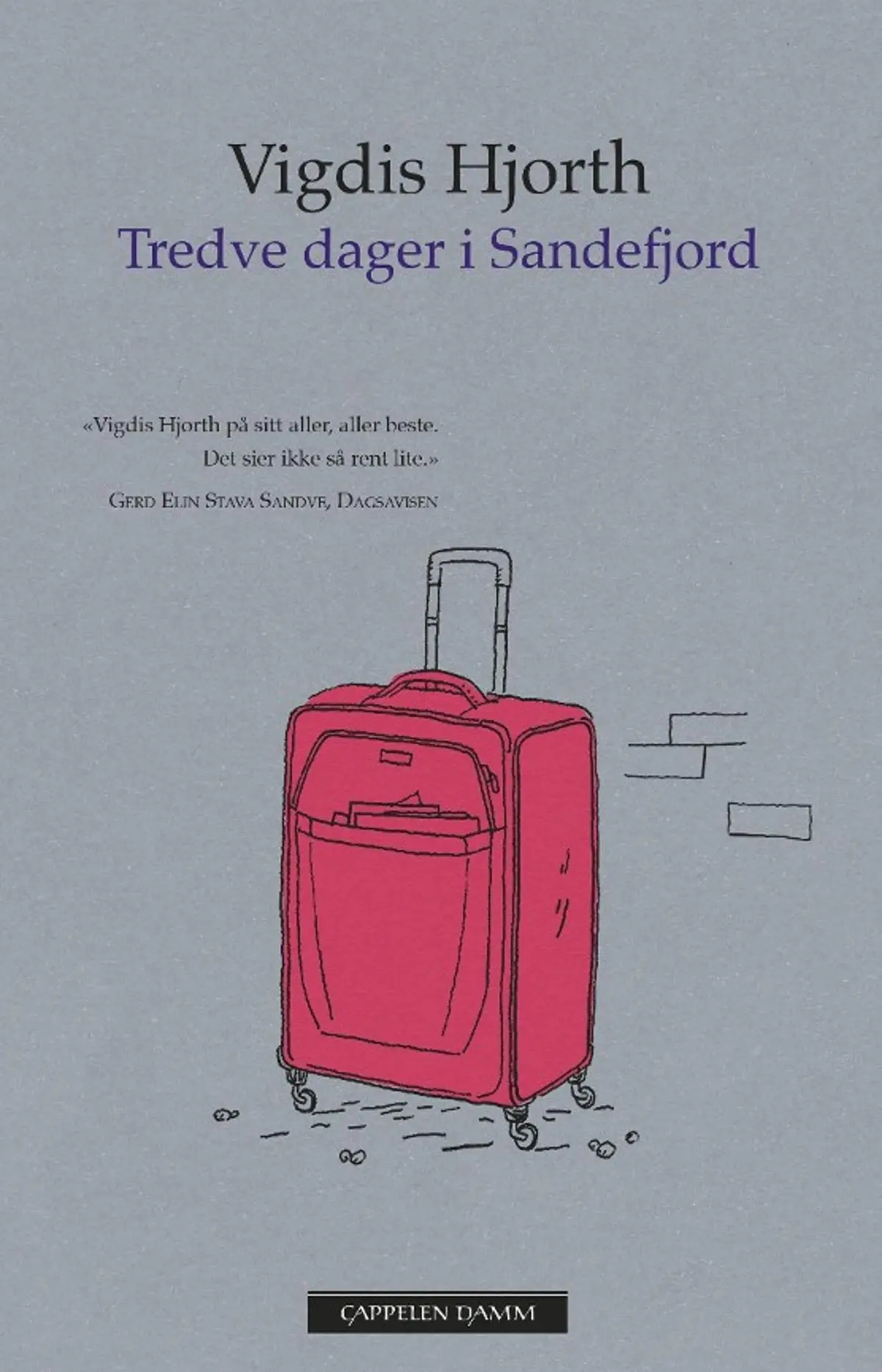 Tredve dager i Sandefjord: roman