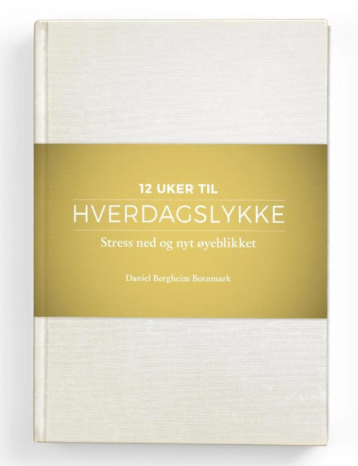 Hverdagslykke