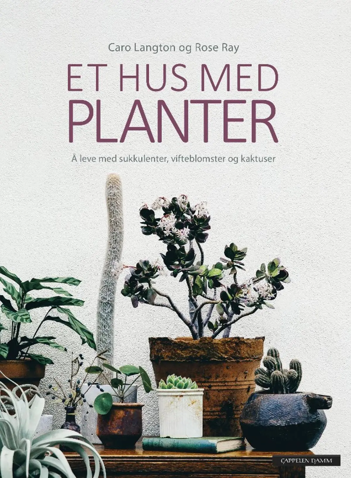 Et hus med planter: å leve med sukkulenter, vifteblomster og kaktuser