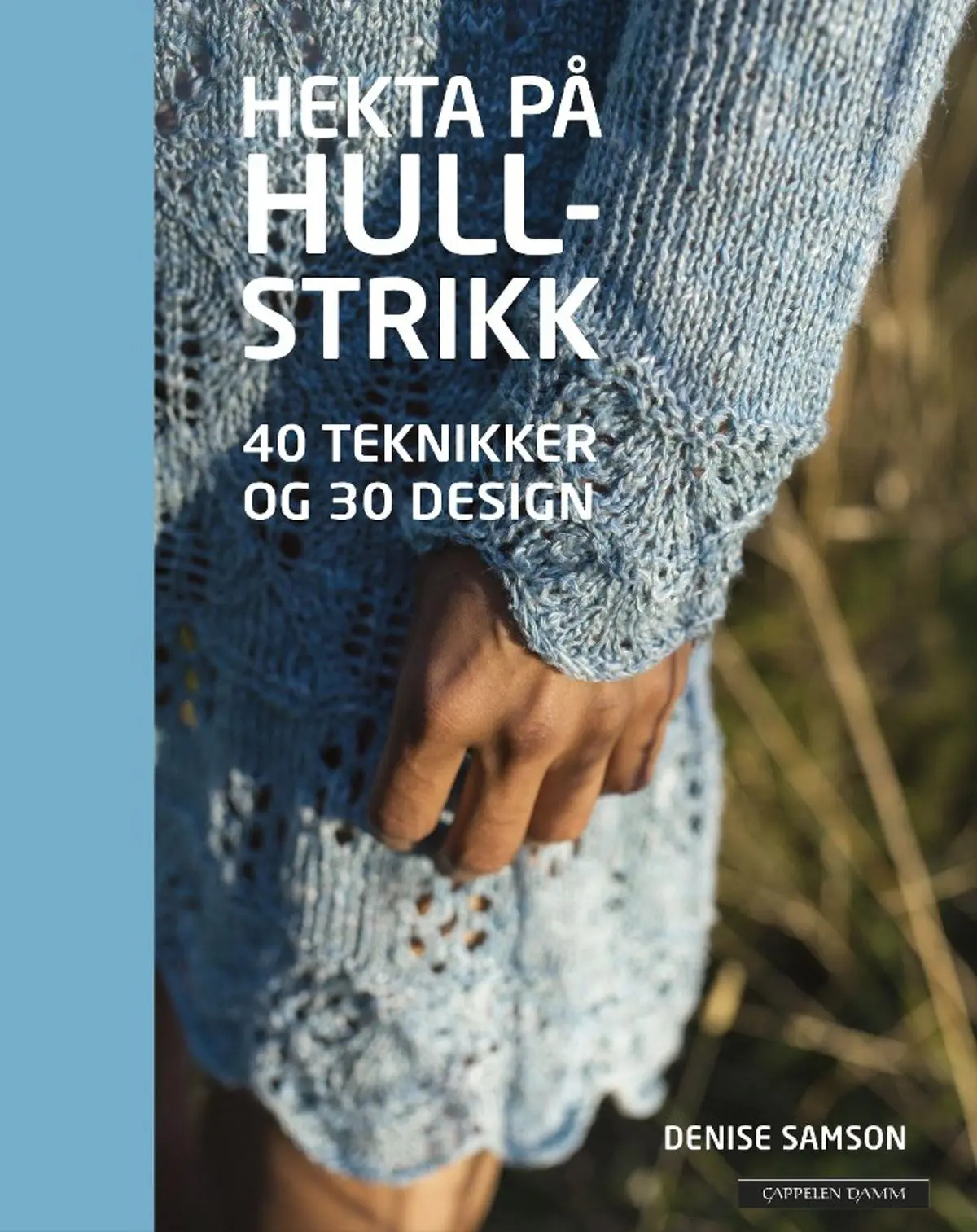 Hekta på hullstrikk: 40 teknikker og 30 design