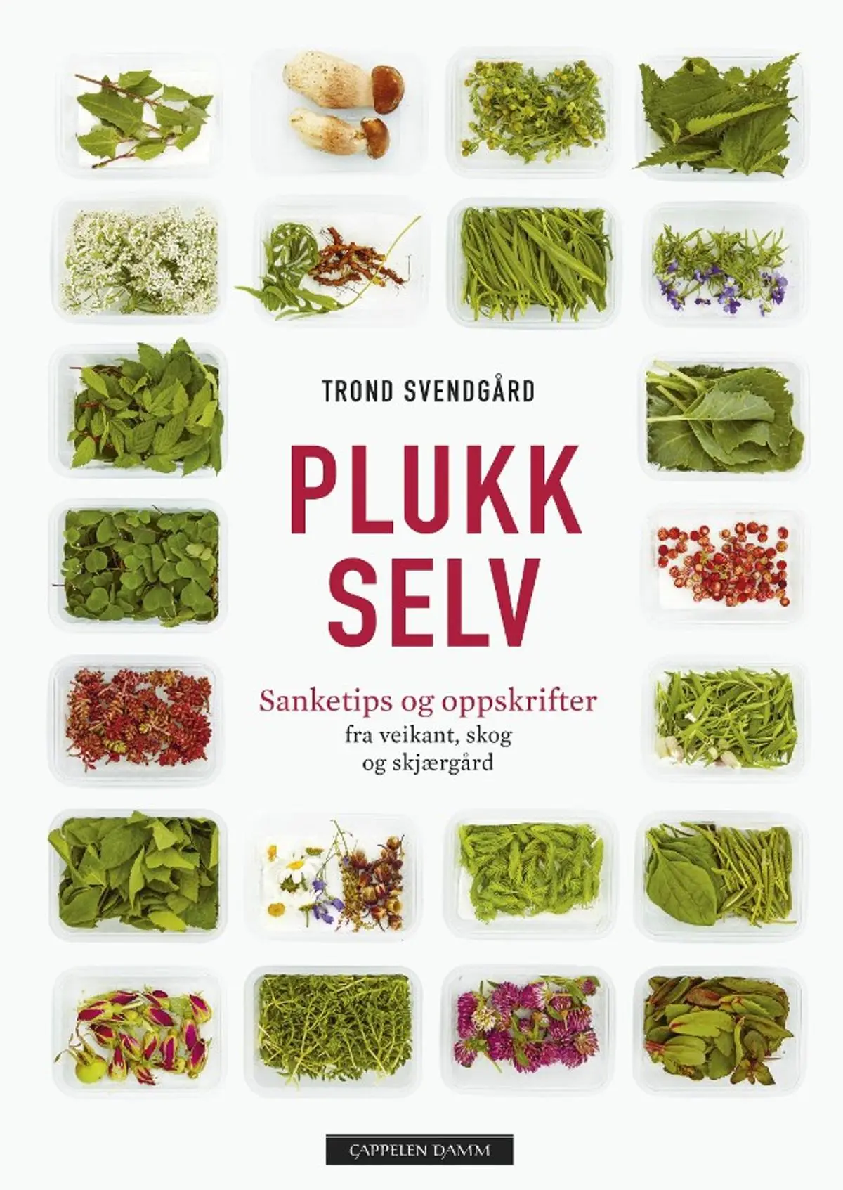 Plukk selv: sanketips og oppskrifter : fra veikant, skog og skjærgård