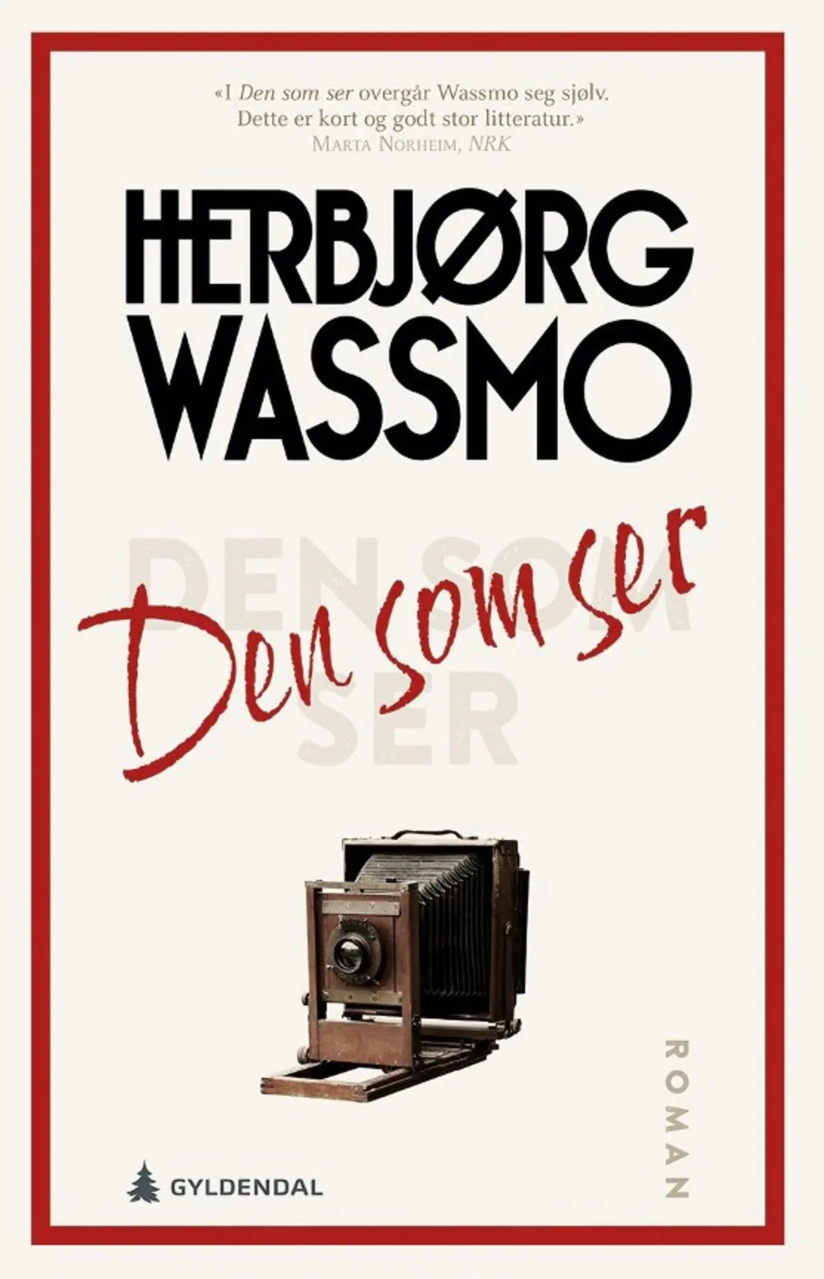 Den som ser: roman