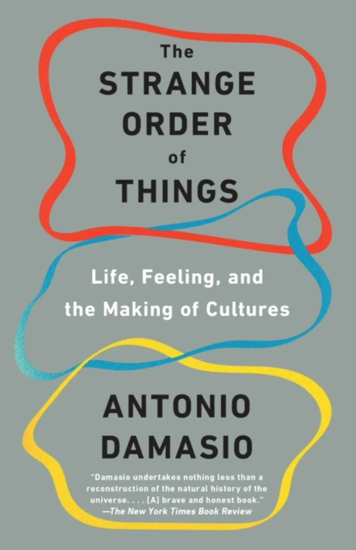 Strange Order of Things: The Making of the Cultural Mind