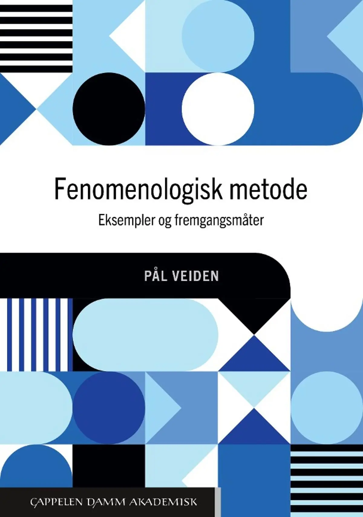 Fenomenologisk metode: eksempler og fremgangsmåter