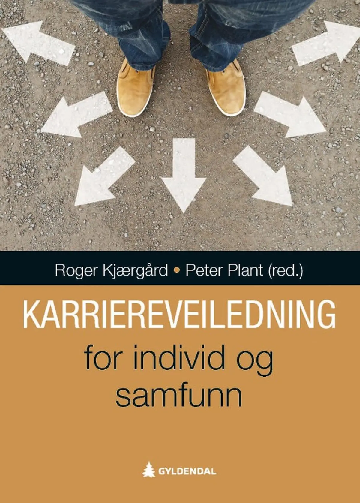 Karriereveiledning: for individ og samfunn