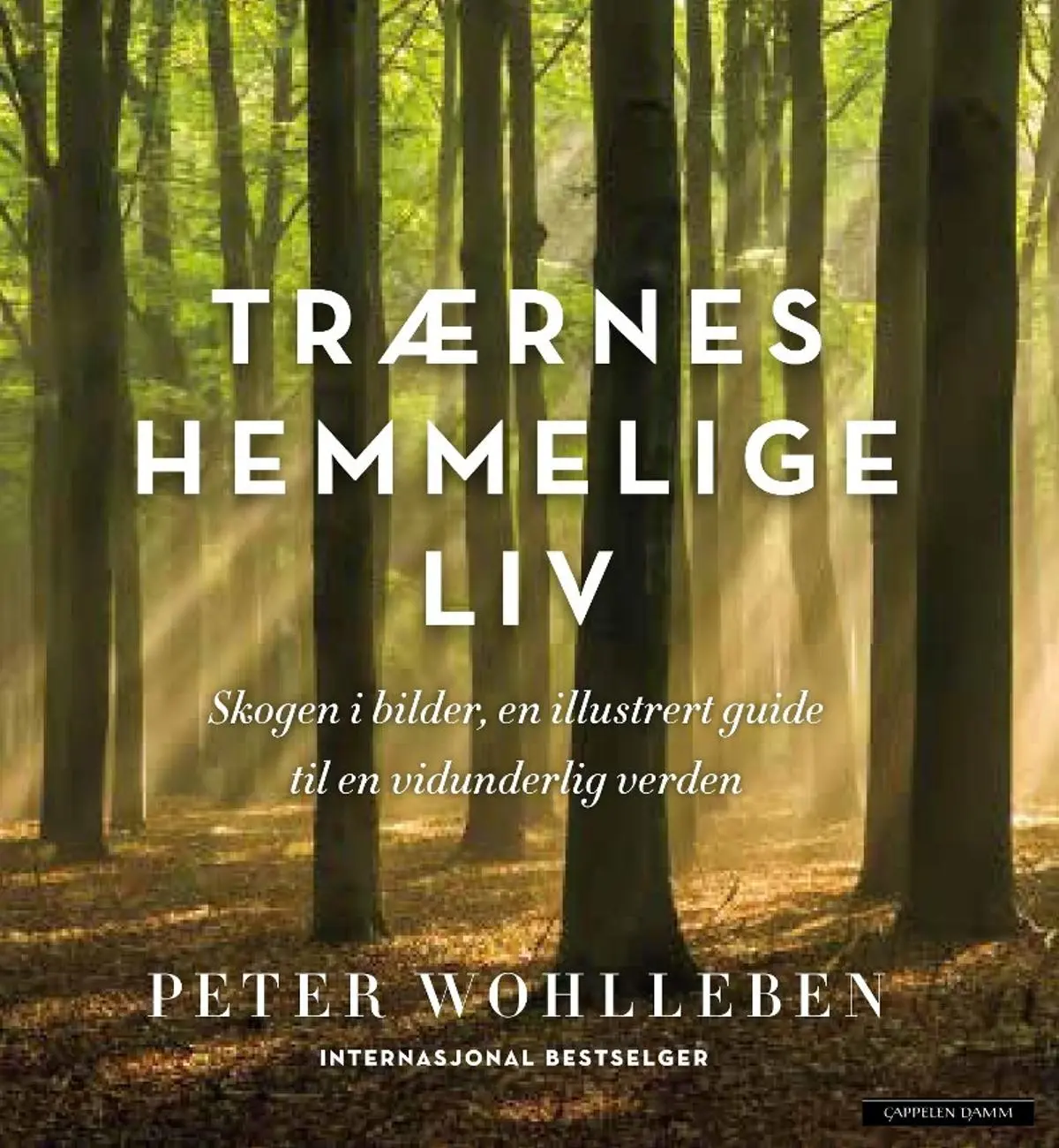 Trærnes hemmelige liv: skogen i bilder : en illustrert guide til en vidunderlig verden
