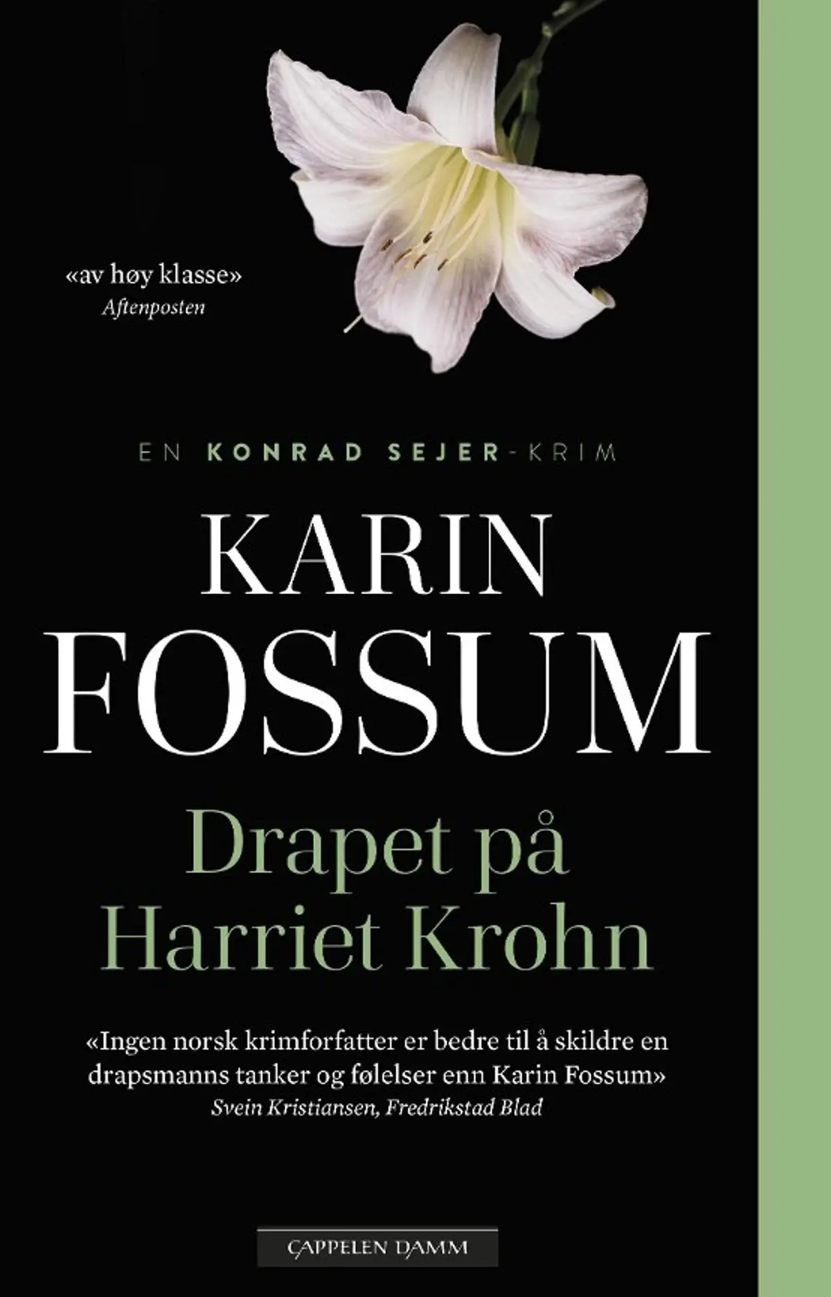 Drapet på Harriet Krohn: kriminalroman