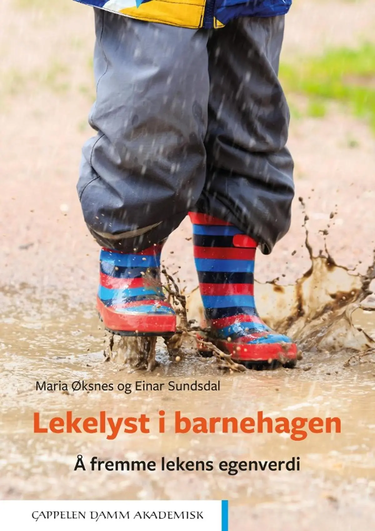 Lekelyst i barnehagen: å fremme lekens egenverdi