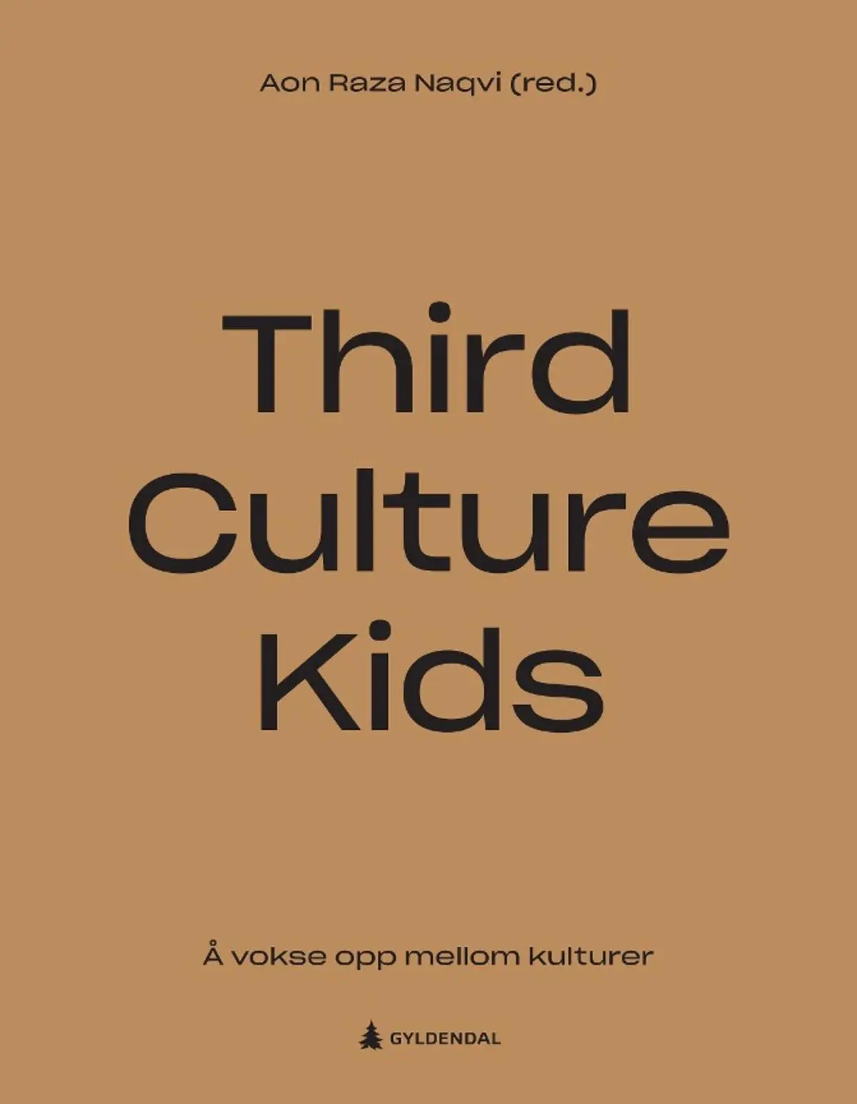 Third culture kids: å vokse opp mellom kulturer
