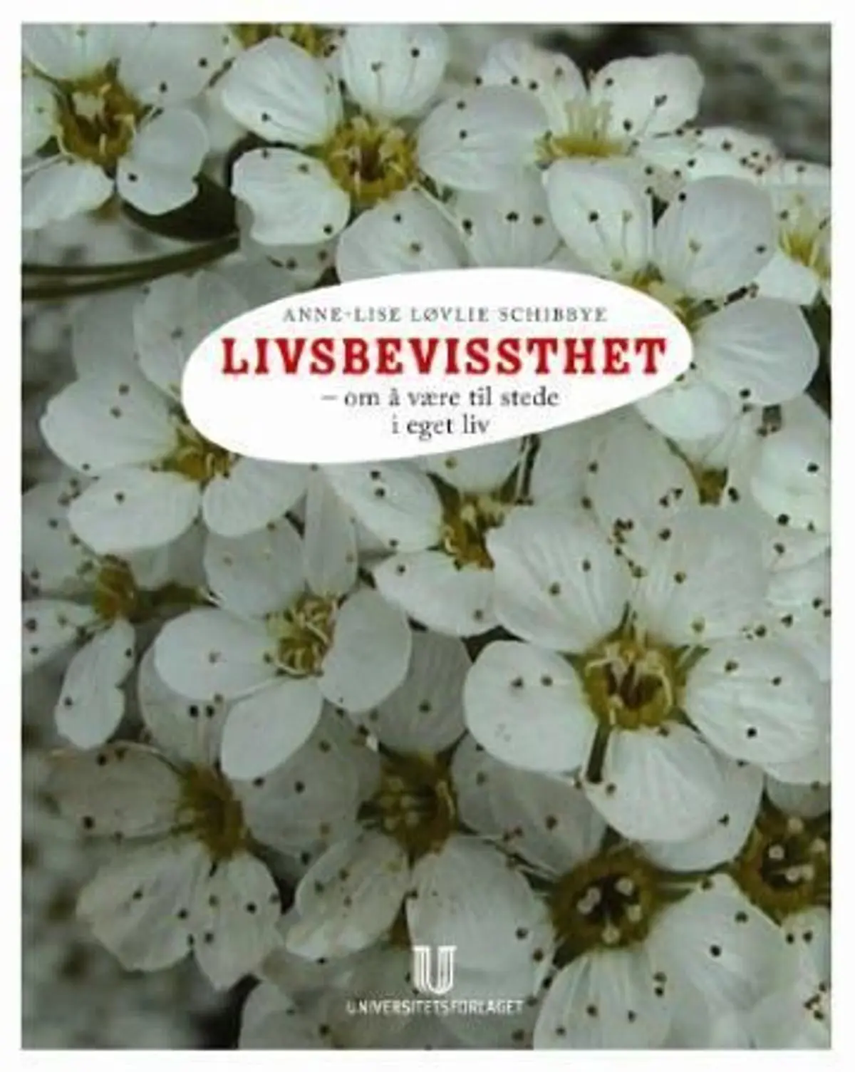 Livsbevissthet: om å være til stede i eget liv